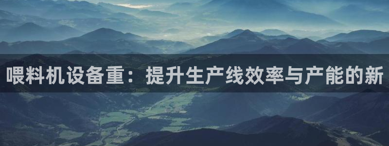 顺盈时代广场娱乐项目：喂料机设备重：提升生产线效率与产能的新