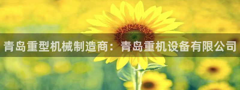 顺盈百威美食娱乐广场：青岛重型机械制造商：青岛重机设备有限公