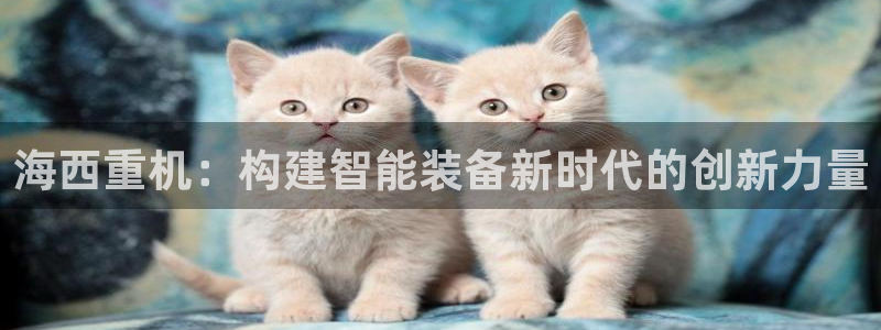 顺盈娱乐注册求判官333OO：海西重机：构建智能装备新时代的