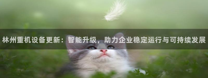 顺盈娱乐团购怎么样：林州重机设备更新：智能升级，助力企业稳定