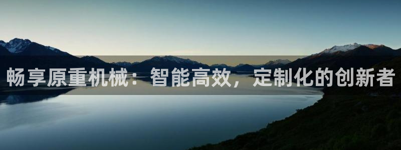 顺盈抖音团购娱乐：畅享原重机械：智能高效，定制化的创新者