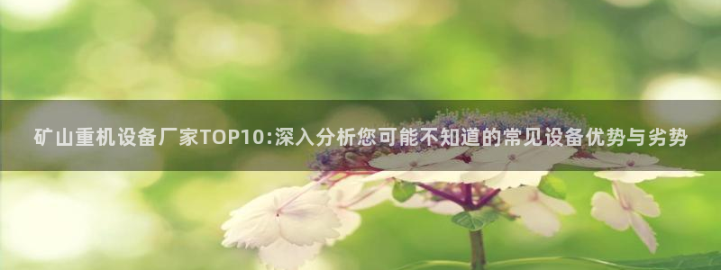 顺盈娱乐最高代理人名单