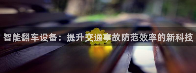 顺盈娱乐 炤企鹅779O3