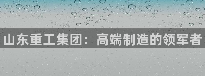 顺盈2娱乐登录：山东重工集团：高端制造的领军者