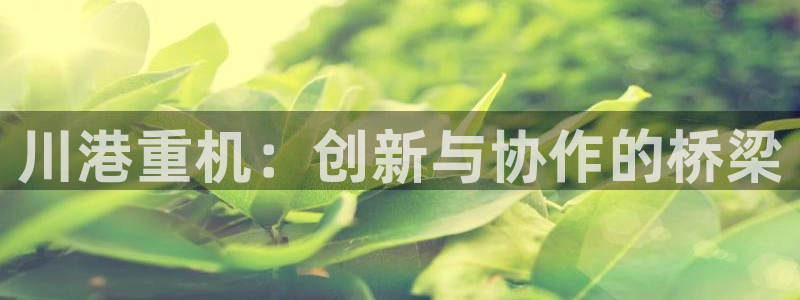 顺盈娱乐登录：川港重机：创新与协作的桥梁