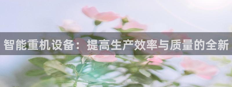 顺盈娱乐游戏开发商