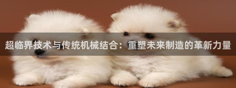 顺盈娱乐主管去判官333OO