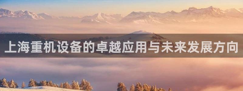 清远顺盈娱乐集团实习：上海重机设备的卓越应用与未来发展方向