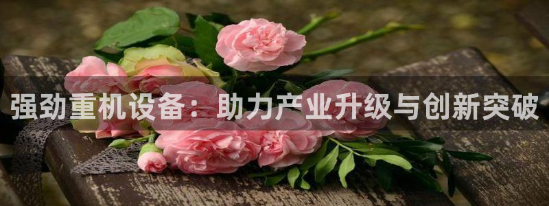 顺盈娱乐注册九判官333OO