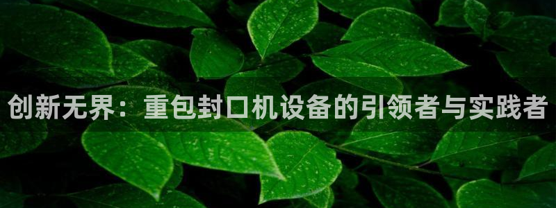 顺盈娱乐28是什么
