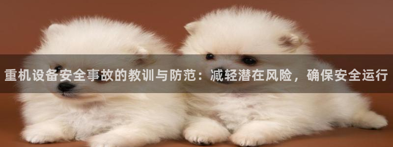 顺盈娱乐最高代理人名单