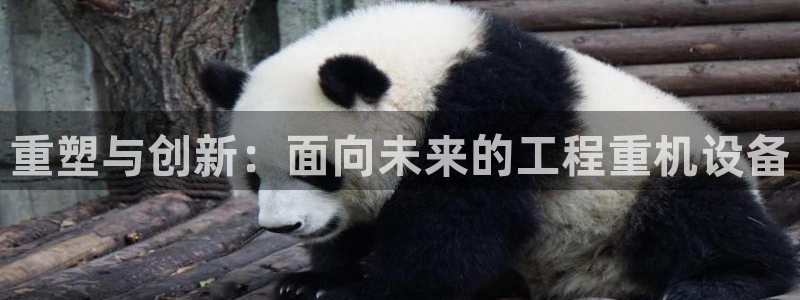 顺盈娱乐彩票官网查询