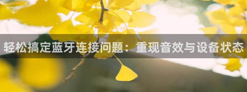 顺盈娱乐彩票官网查询：轻松搞定蓝牙连接问题：重现音效与设备状