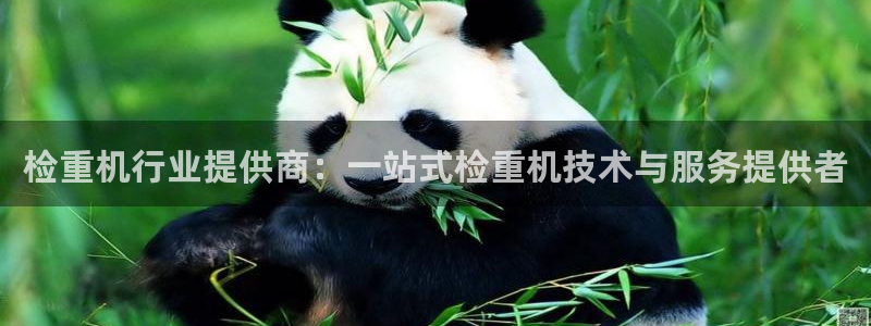 顺盈娱乐主管待判官333OO