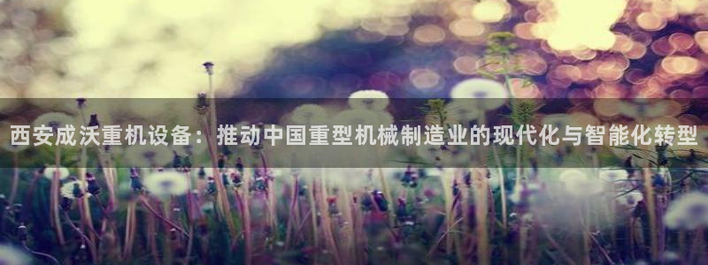 顺盈娱乐登录地址是什么