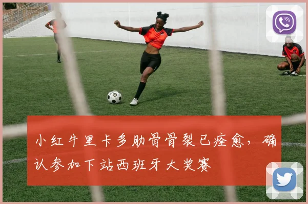 小红牛里卡多肋骨骨裂已痊愈,确认参加下站西班牙大奖赛